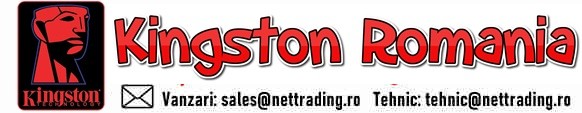 kingston-memory.ro